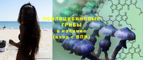 Альфа ПВП Костерёво