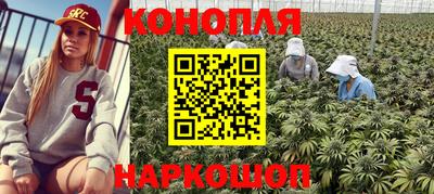сатива Заводоуковск