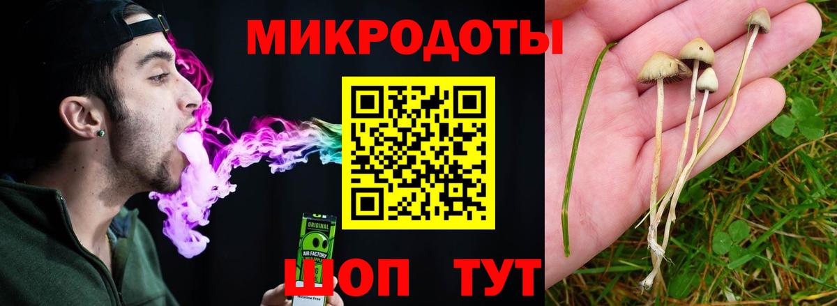 Псилоцибиновые грибы MAGIC MUSHROOMS  Вход с VPN  Медногорск  Галлюциногенные грибы мицелий 