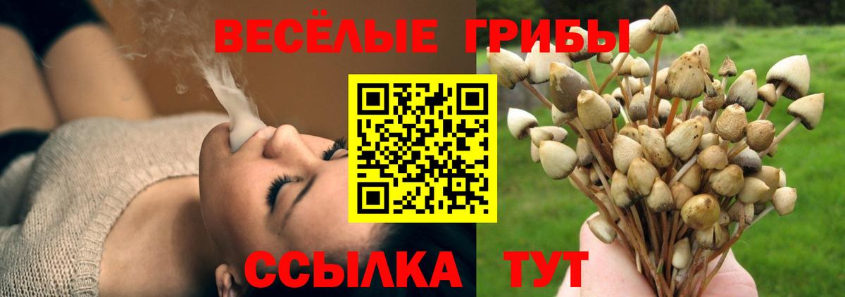 Галлюциногенные грибы мухоморы Медногорск